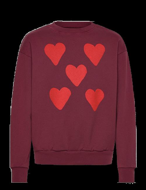 THE ANIMALS OBSERVATORY | Hearts Browned Farnet Bear Sweatshirt | 12 Y