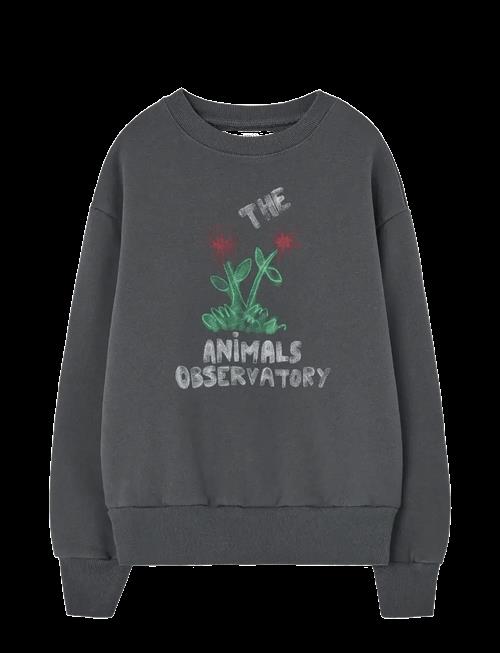 THE ANIMALS OBSERVATORY | Flowers Dark Frey Bear Sweatshirt | 6 Y