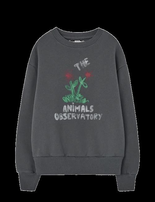 THE ANIMALS OBSERVATORY | Flowers Dark Frey Bear Sweatshirt | 12 Y