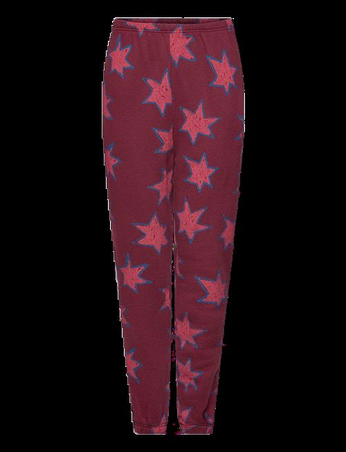 THE ANIMALS OBSERVATORY | Stars Dromedary Sweatpants | 12 Y