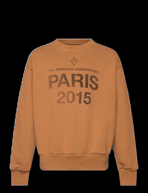THE ANIMALS OBSERVATORY | Sun Almond Brown Bear Sweatshirt | 8 Y