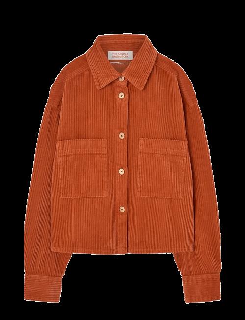 THE ANIMALS OBSERVATORY | Fif Red Beabull Shirt | 6 Y