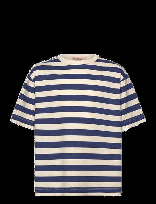 THE ANIMALS OBSERVATORY | Stripes Navy Collie T-Shirt | 8 Y