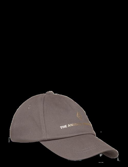 THE ANIMALS OBSERVATORY | Deep Frey Hamster Cap | M