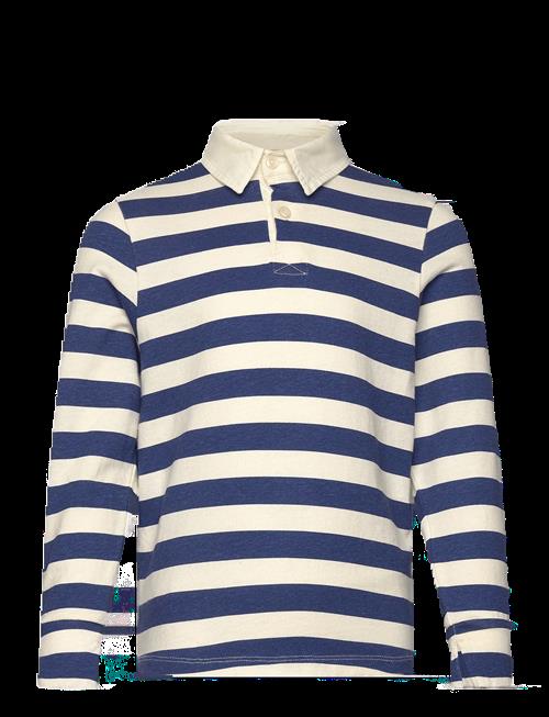 THE ANIMALS OBSERVATORY | Stripes Navy Eel Polo Shirt | 4 Y