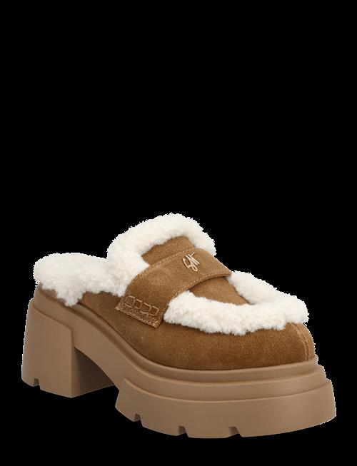 Steve Madden | Turnpike | 37