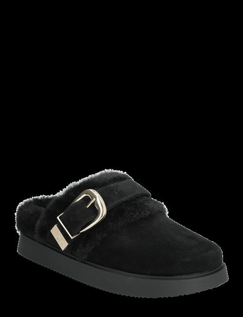 Steve Madden | Cozy Up | 39