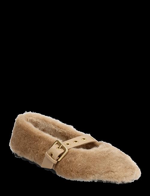 Steve Madden | Toasty | 36