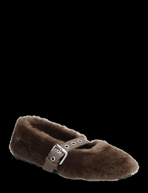 Steve Madden | Toasty | 40