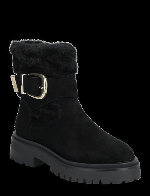 Steve Madden | Lodge | 40