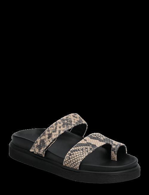 Pavement | Palanza Snake | 38