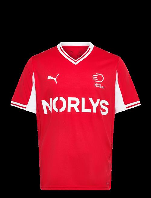 PUMA | Dhf Home Jersey | XL