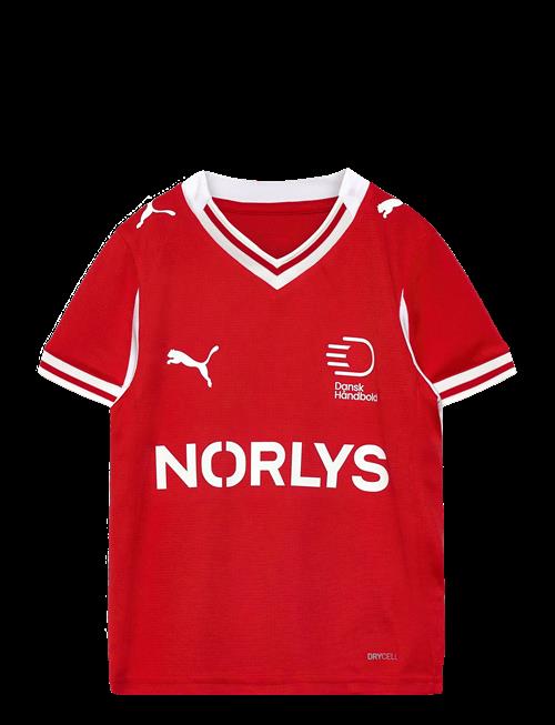 PUMA | Dhf Home Jersey Jr | 116