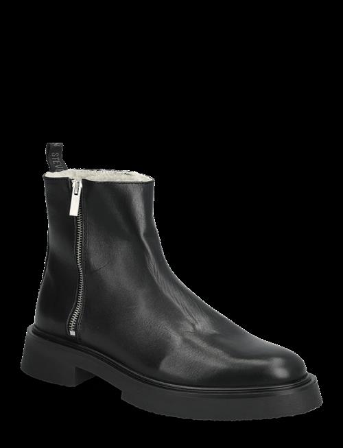 Steve Madden | Zenith-Fl | 41