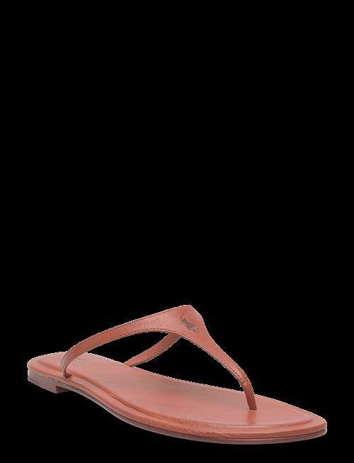 Polo Ralph Lauren | Polo Play Calfskin Thong Sandal | 37