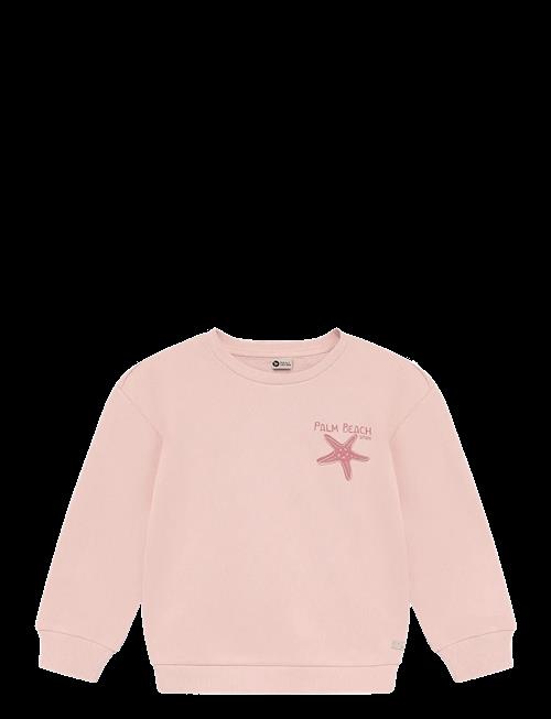 Daily 7 | Sweater Backprint | 104