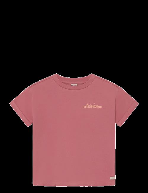 Daily 7 | T-Shirt Backprint | 92