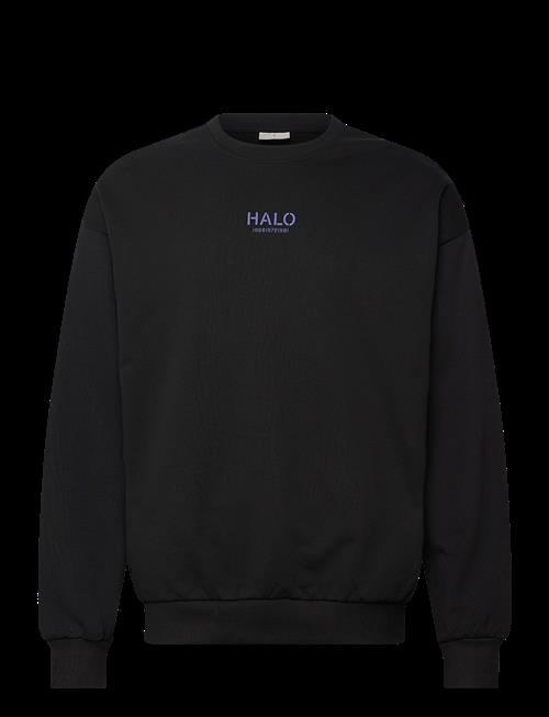 HALO | Halo Graphic Boxy Crew | S