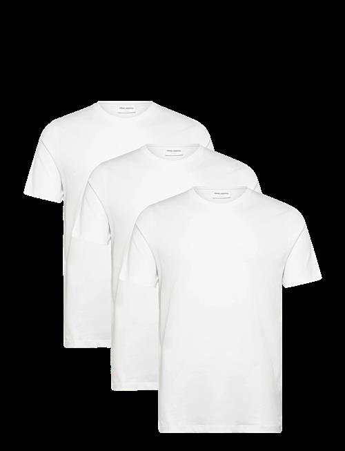 Shine Original | 3-Pack Tee S/S | L