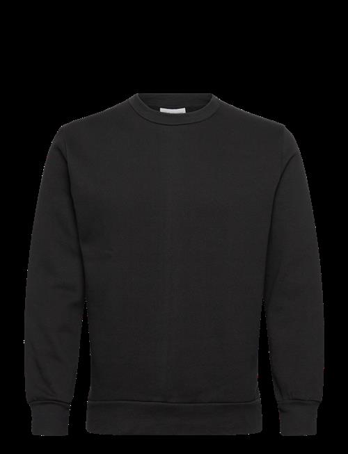 Shine Original | Crew Neck Sweat | S