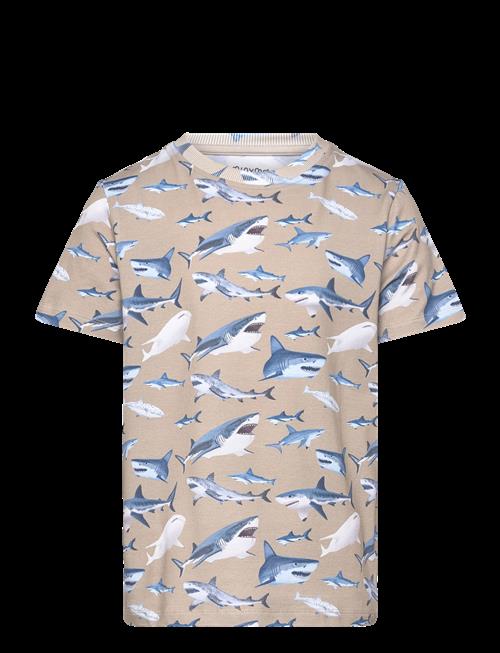 Minymo | T-Shirt Ss Aop | 98