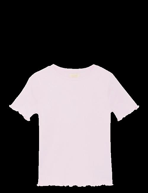 Creamie | T-Shirt Ss Modal | 116