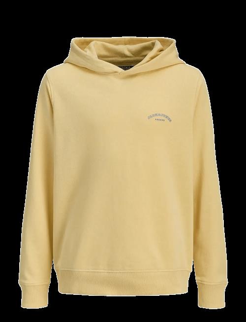 Jack & Jones | Jjcollege Logo Sweat Hood Jnr | 152