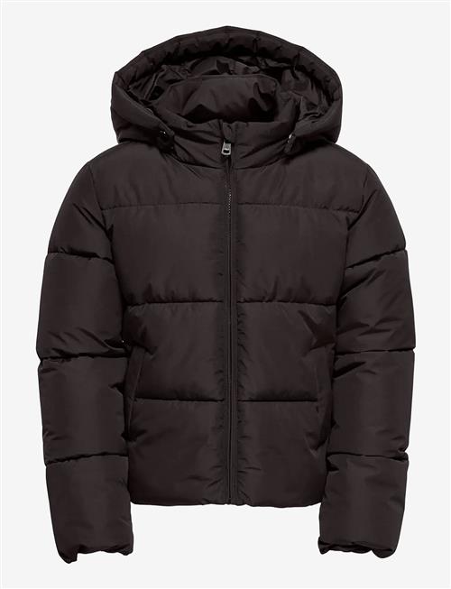 Kids Only | Kogjuta Life Short Puffer Otw Noos | 158
