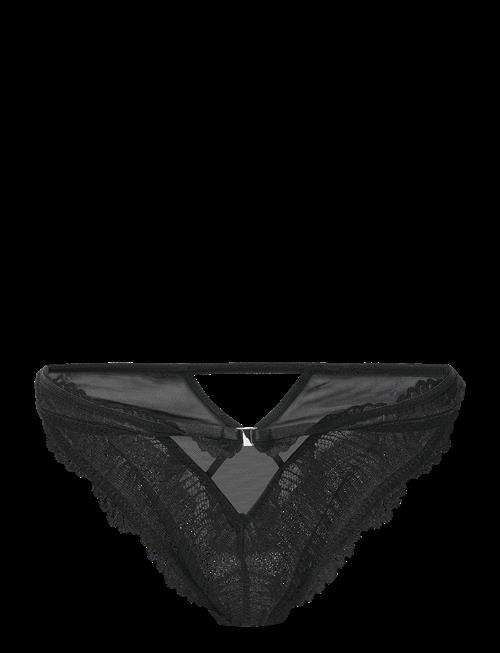 Dorina | Ezra Brazilian | XL