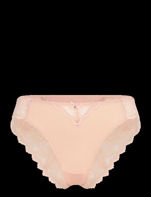 Dorina | Samara Brief | S