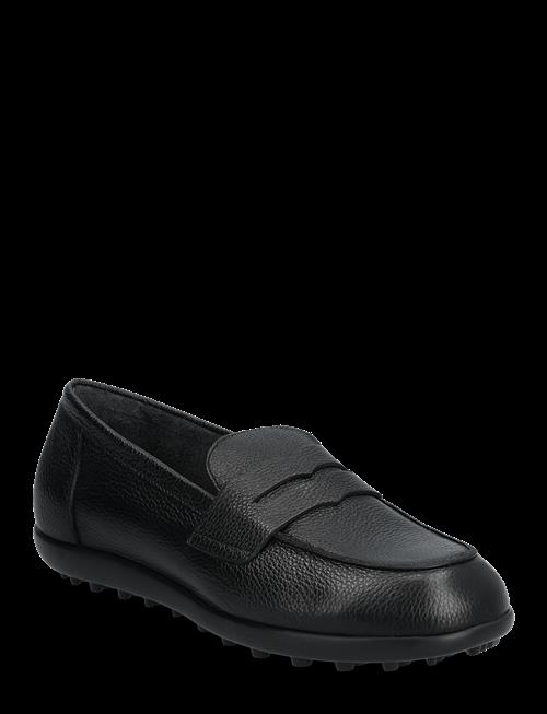 Wonders | Flyfit 01 | 36
