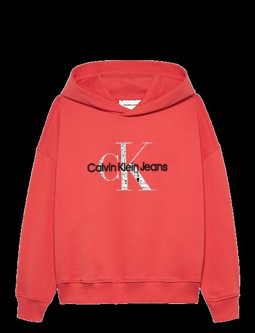 Calvin Klein | Embro Logo Hoodie | 152