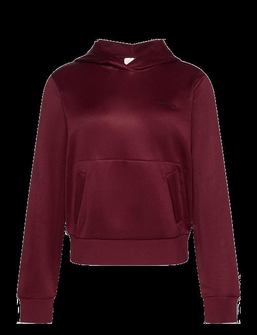 Calvin Klein Jeans | Ls High Shine French Terry Hoodi | M