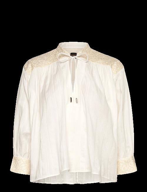BOSS | C_Brodes | 40