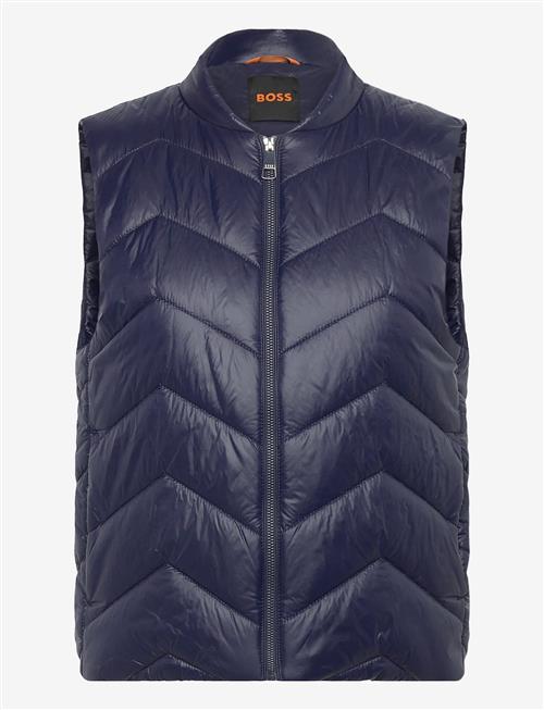 BOSS | C_Palattini | 38