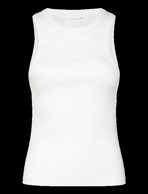 2NDDAY | 2Nd Purity Tt - Daily Cotton Rib | L