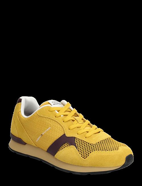 Tommy Hilfiger | Maxlite Seasonal | 41