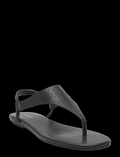Calvin Klein | Org Flat Sndl Thong Lth Aop | 38