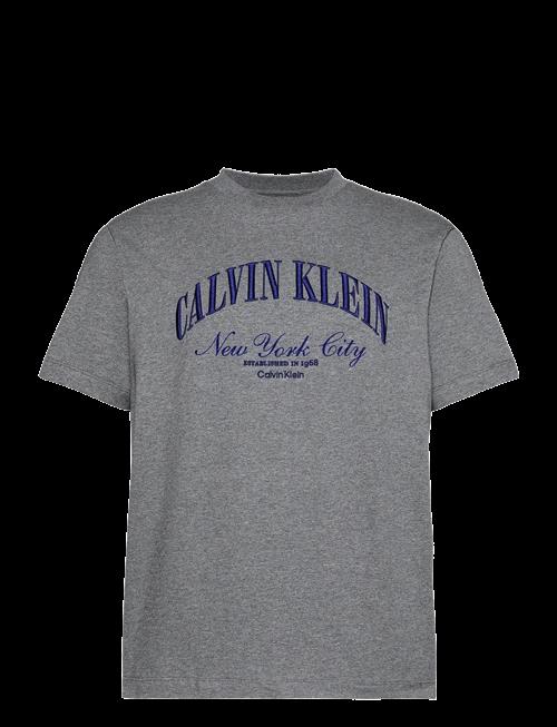 Calvin Klein Jeans | 20S March Graphic Seasonal Fashi | L