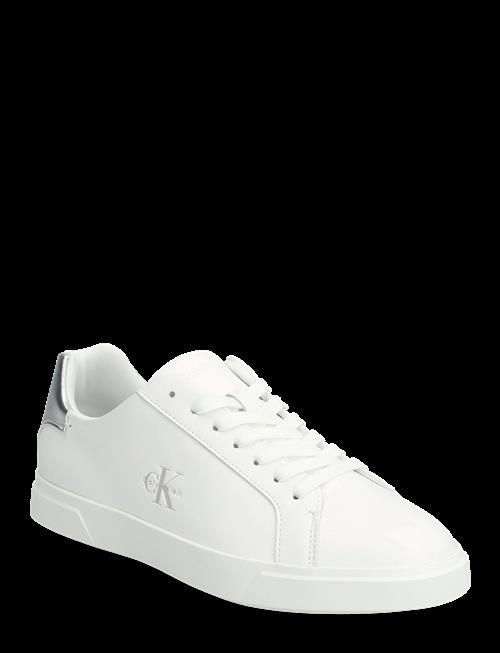 Calvin Klein | Low Pro Cups Laceup Lth Met | 36
