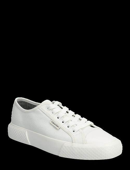 Calvin Klein | Vulc Lace Up Canvas | 40