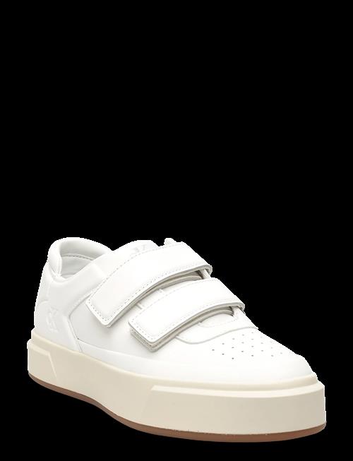 Calvin Klein | Basket Cups Velcro Lth | 41