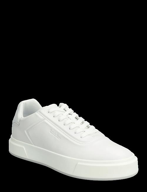 Calvin Klein | Basket Cups Oxf Lup Hf Lth | 44