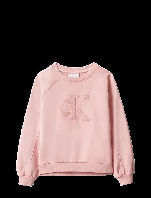 Calvin Klein | Ck Logo Sweatshirt | 164