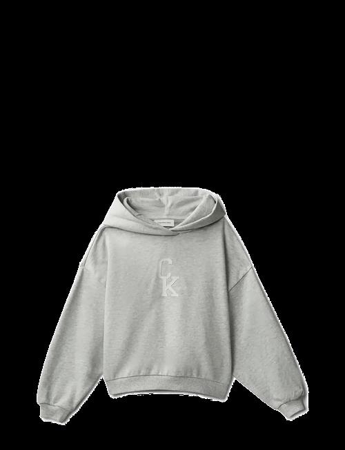 Calvin Klein | Ck Hooded Sweatshirt | 116