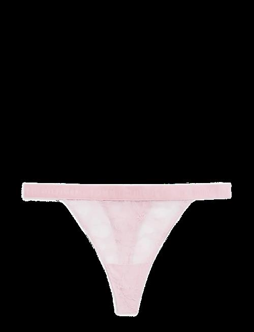 Tommy Hilfiger | Tanga Thong (Ext. Sizes) | L