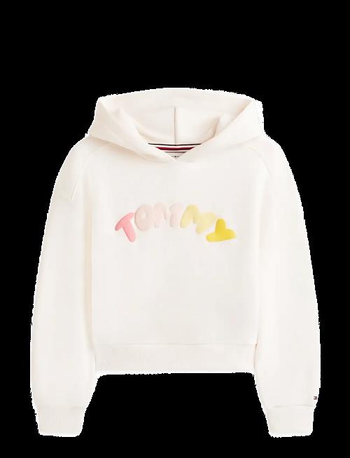 Tommy Hilfiger | Tommy Puff Print Hoodie | 122