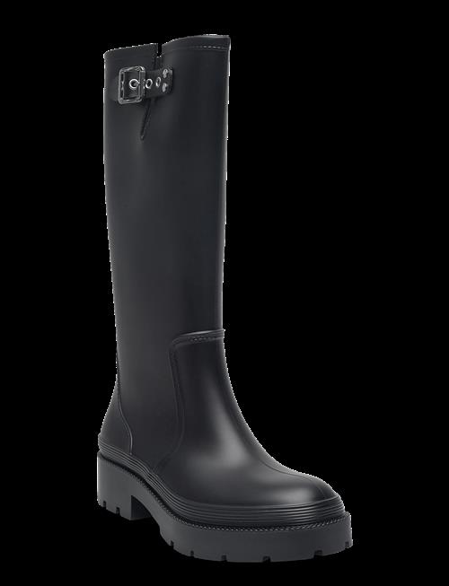 Steve Madden | Rockyh20 | 41
