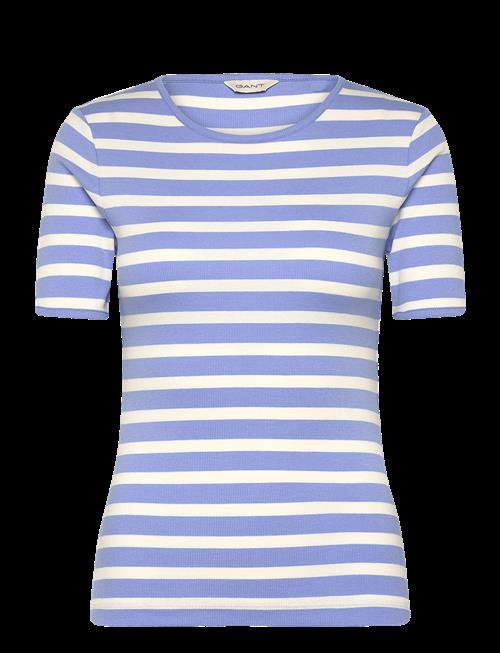 Gant | Striped Ribbed Ss T-Shirt | XXL