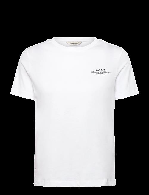 Gant | Reg Graphic Print Ss T-Shirt | XS